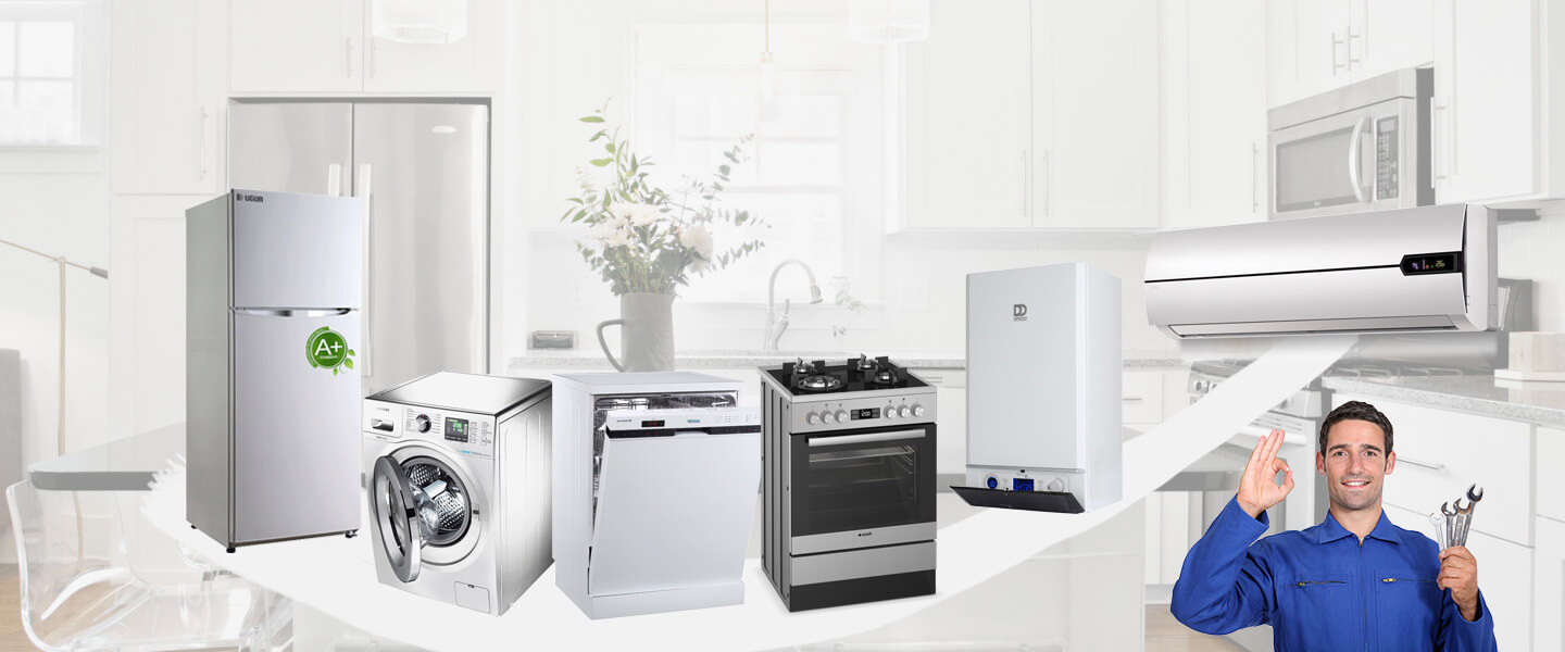Lalapaşa Viessmann Servisi